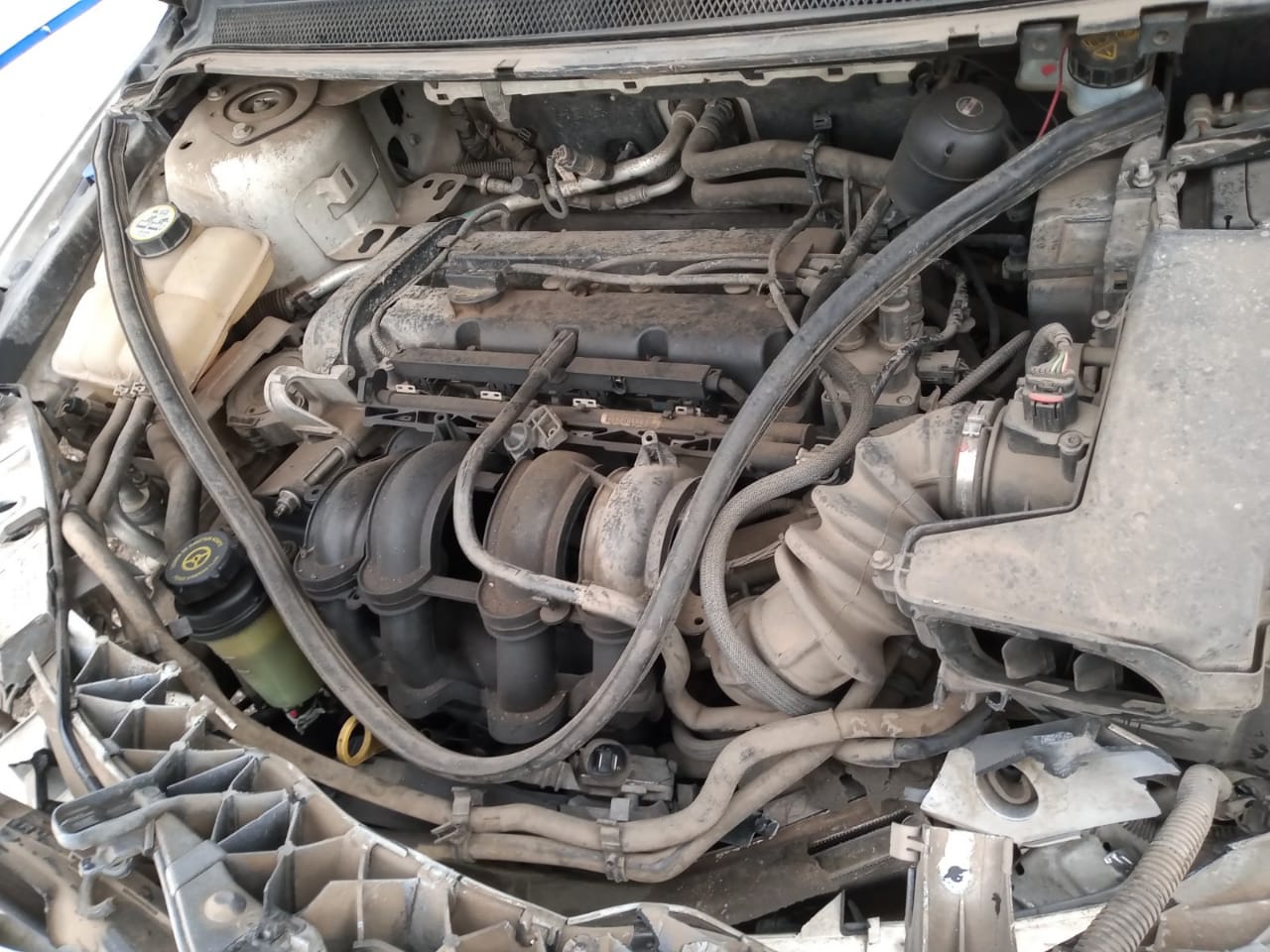  Ford FOCUS 2011    EN DESARME